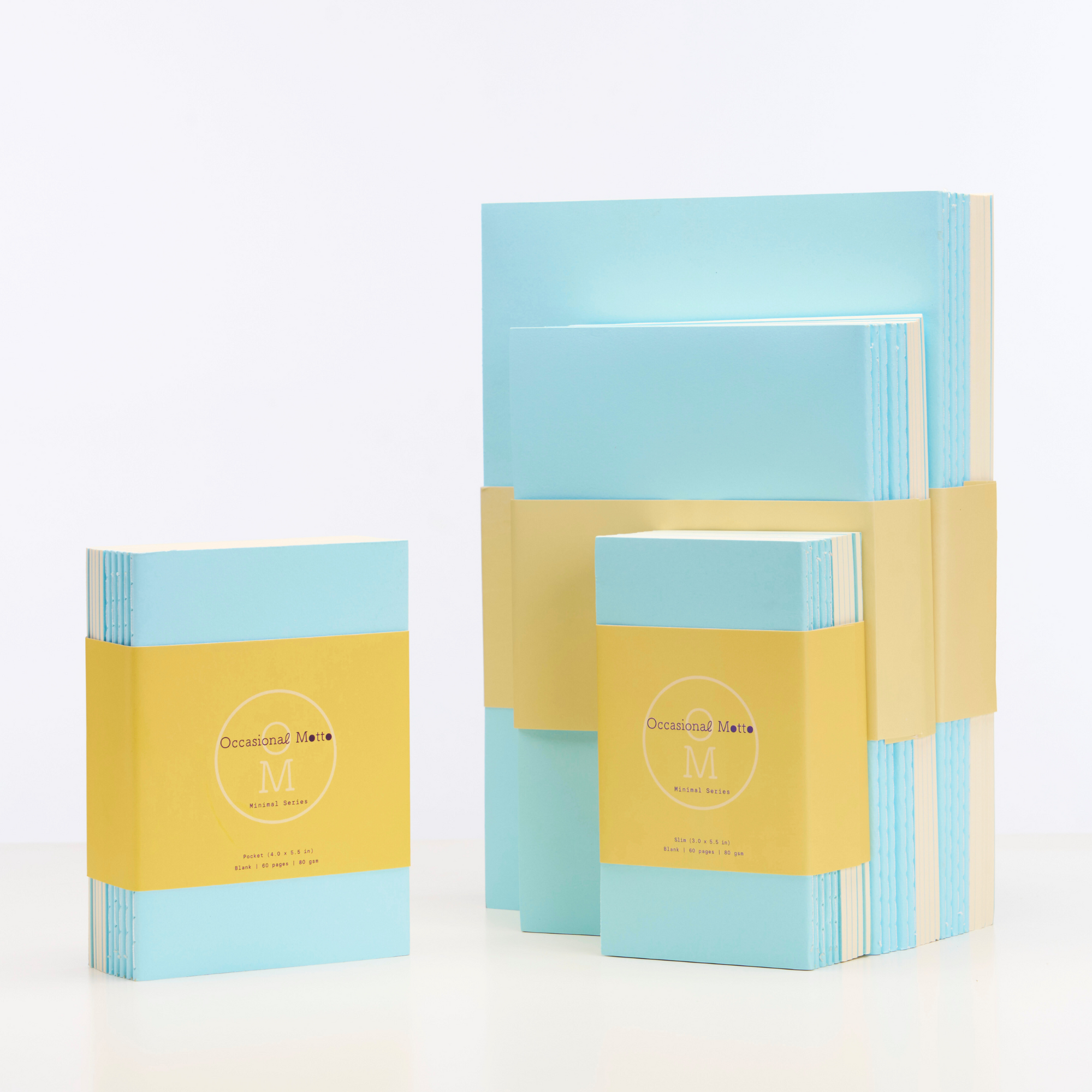 Set of 10 Blue Cover Sewn Binding Notebooks