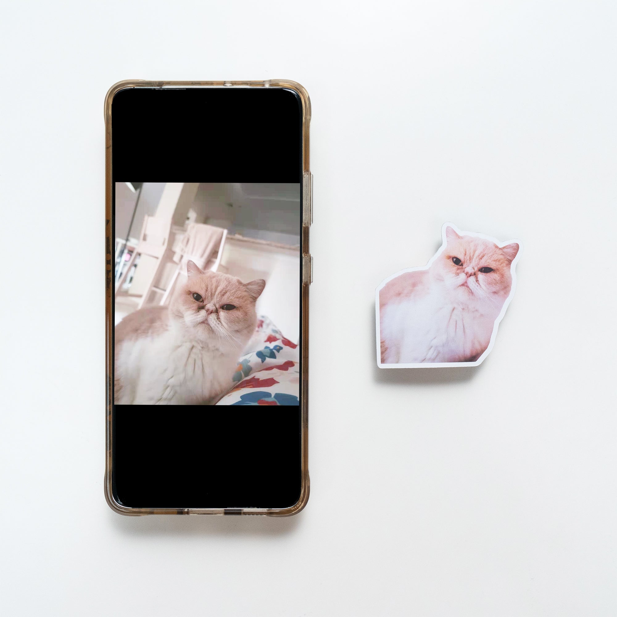 Custom Shaped Fridge Magnet Photo Prints