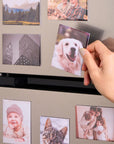 Set of 9 Premium Hardback Photo Magnets