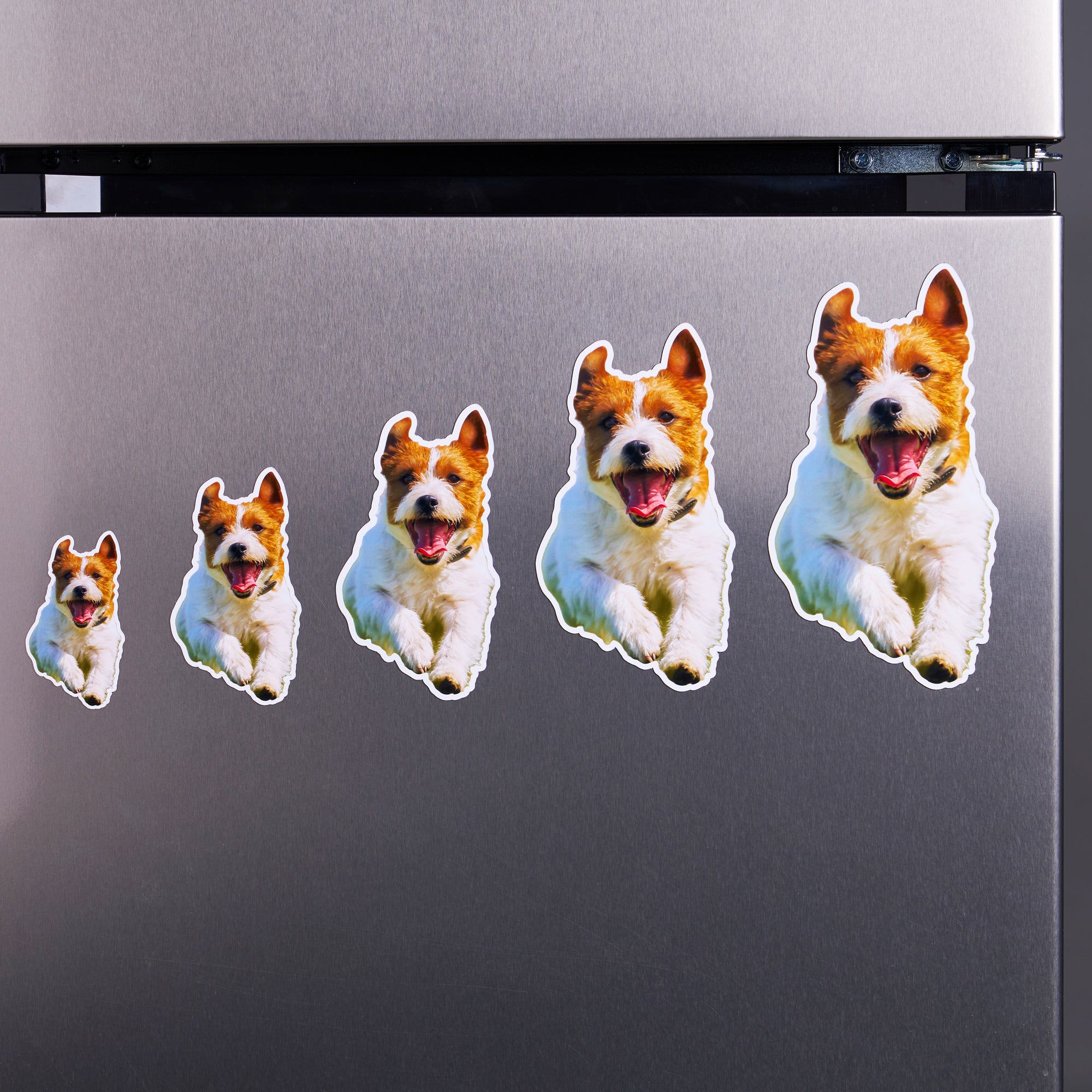 Custom Shaped Fridge Magnet Photo Prints