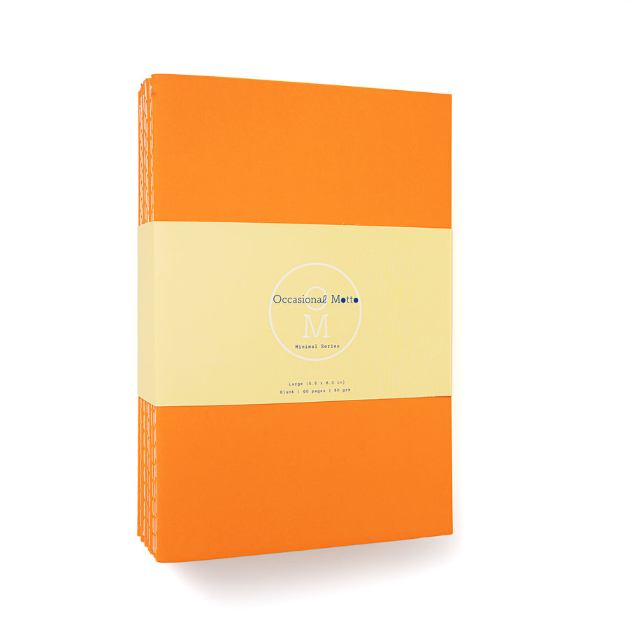Set of 10 Orange Cover Sewn Binding Notebooks