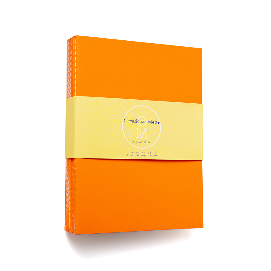 Set of 10 Orange Cover Sewn Binding Notebooks